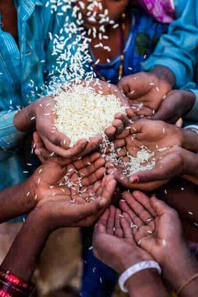 Child Labour & Social Protection